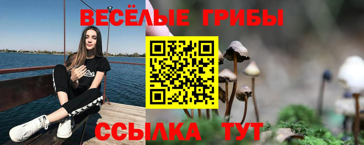 Псилоцибиновые грибы Psilocybine cubensis  что такое наркотик  Галлюциногенные грибы Psilocybine cubensis  Славгород  Вход с VPN 